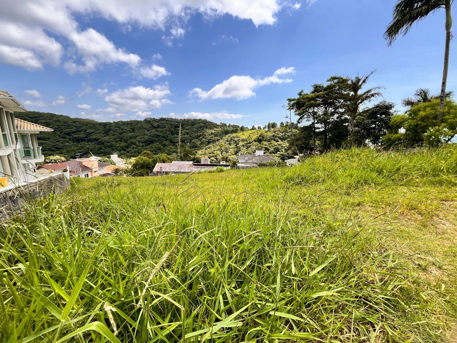 Terreno à venda - Foto 4