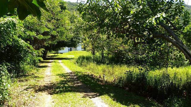 Terreno à venda - Foto 1